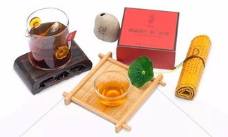 茶韻新篇，共繪未來(lái) 上海唐卡茶鐏國(guó)茶研究院戰(zhàn)略合作，誠(chéng)邀經(jīng)銷商攜手同行